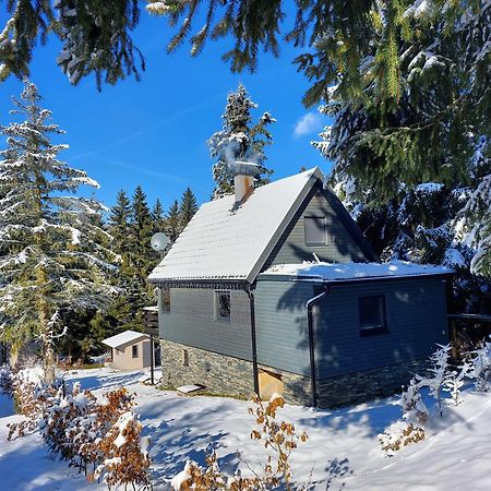 Chata 100 Český Jiřetín Extérieur photo